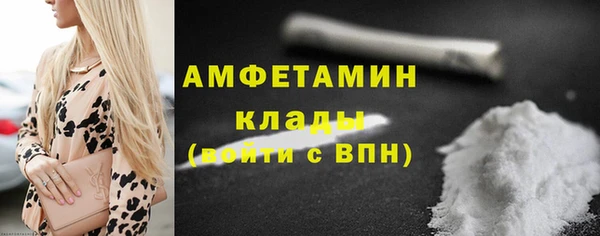 прущие крисы Горняк