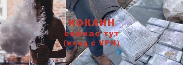 прущие крисы Горняк