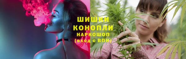 прущие крисы Горняк