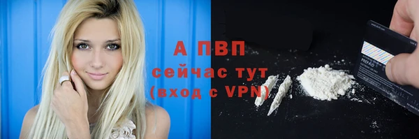 прущие крисы Горняк