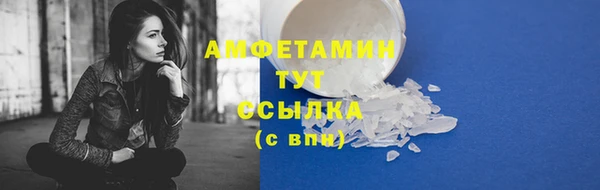 прущие крисы Горняк