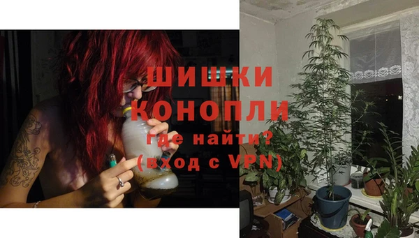 прущие крисы Горняк