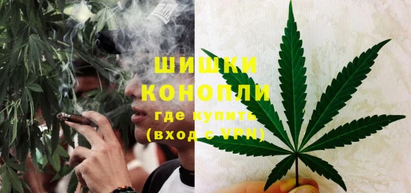 прущие крисы Горняк