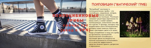 альфа пвп Горно-Алтайск