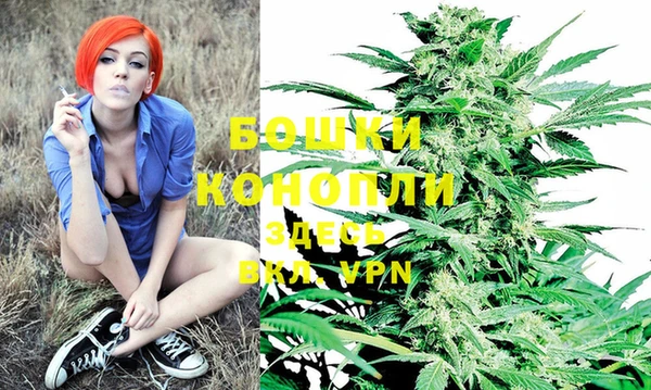 прущие крисы Горняк