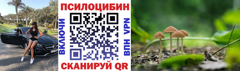 Псилоцибиновые грибы Cubensis  ОМГ ОМГ зеркало  Яхрома 